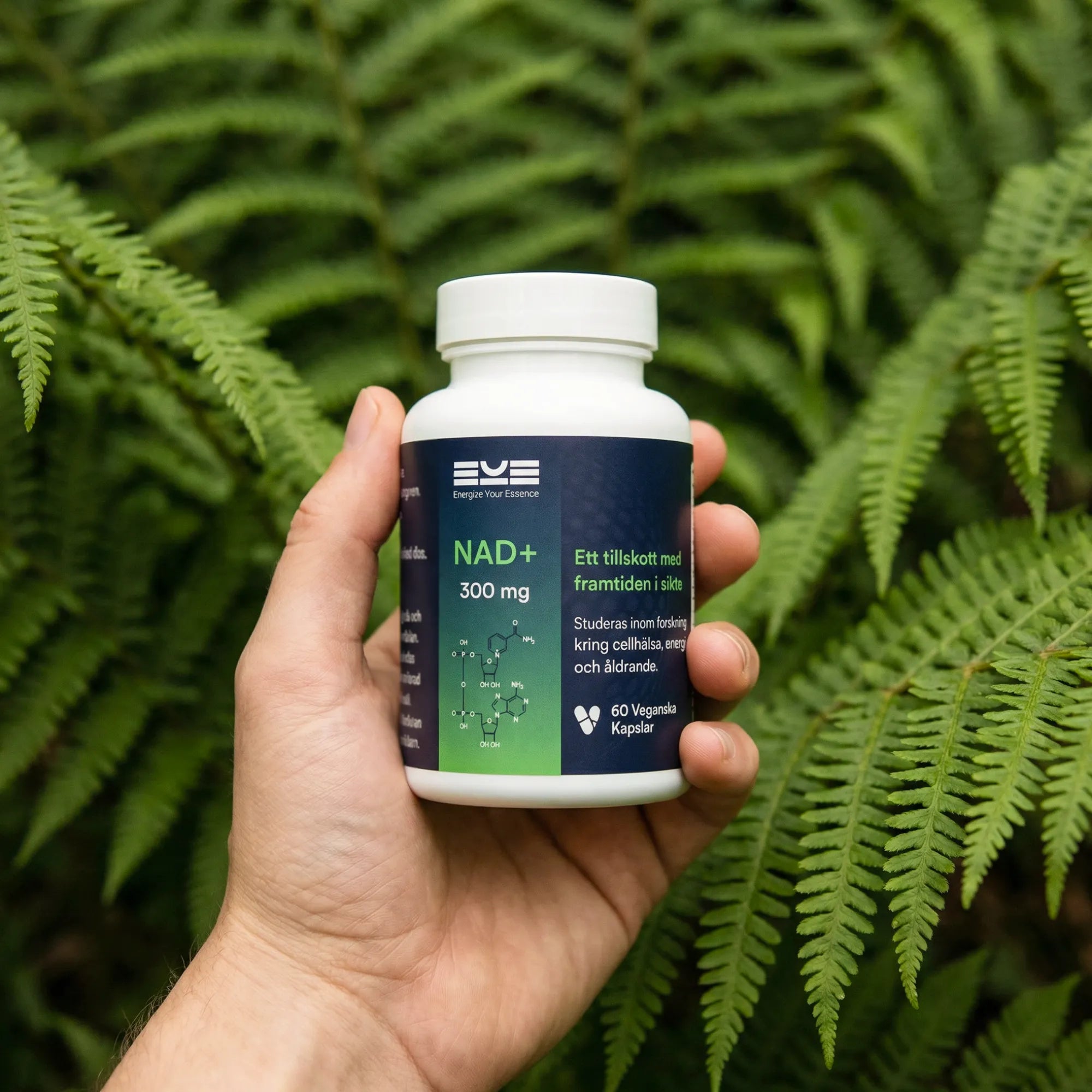 NAD+ 300 mg från Energize Your Essence hålls i handen framför grönska – kosttillskott med fokus på cellhälsa, energi och långsiktig vitalitet